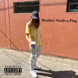 Brother Needs a Plug Trip