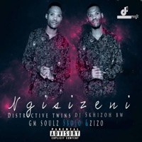 Ngisizeni (feat. DJ Skizoh Bw) - Single - Distructive Twins
