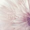 Savior, Redeemer of My Soul - Tiffany Hobson lyrics