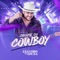 Chicote do Cowboy - Leandro Di Souza lyrics