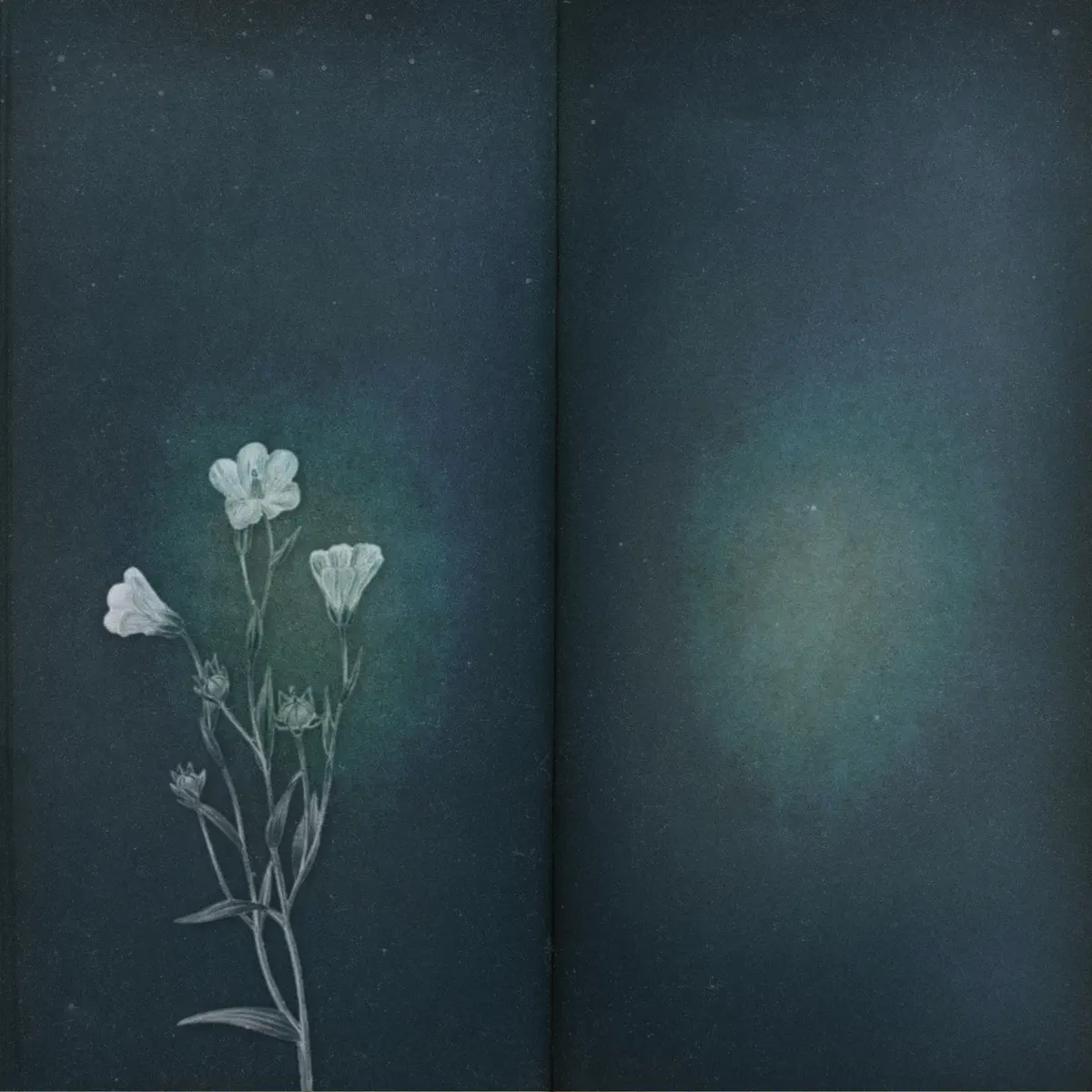 Maktub - Please Forget Me - Single (2024) [iTunes Plus AAC M4A]-新房子