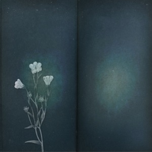 Please Forget Me - Single