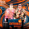 Fogo nas Entranhas (feat. Lipe Bass) - Single