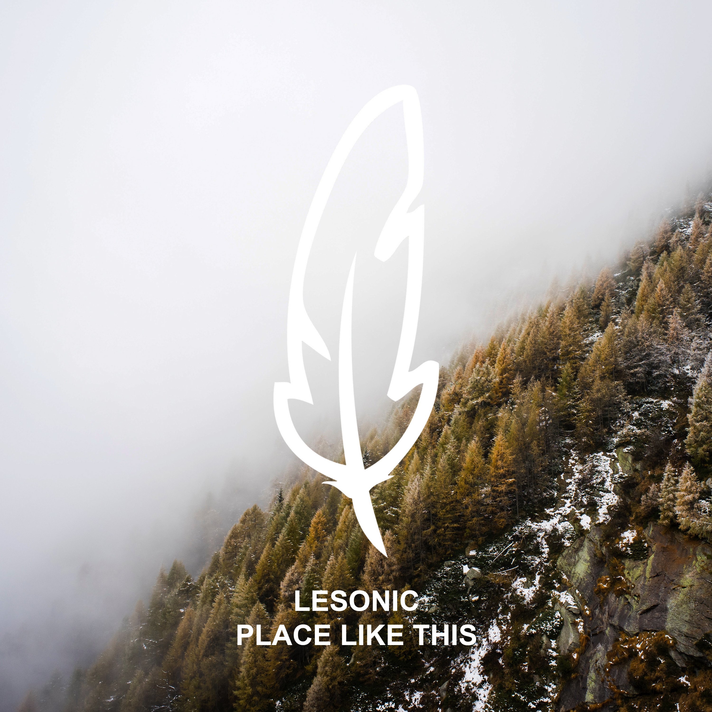 Place Like This (feat. Olivia Jasmine) - Single