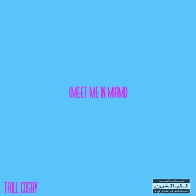 Meet Me In Miami - Single
