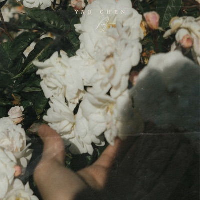 Purity - Single