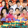 Hai Lối Đường Tình - Single