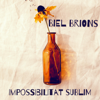 Biel Brions - Impossibilitat Sublim - EP portada