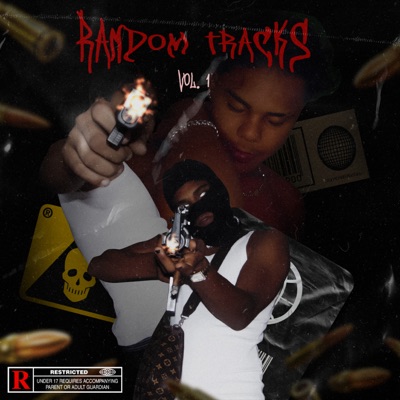 Random Tracks, Vol. 1