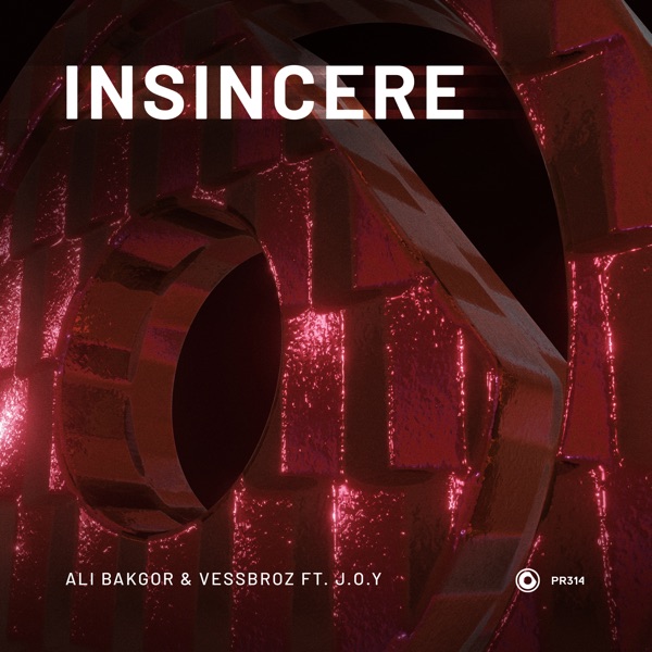 Insincere (feat. J.O.Y) - Single