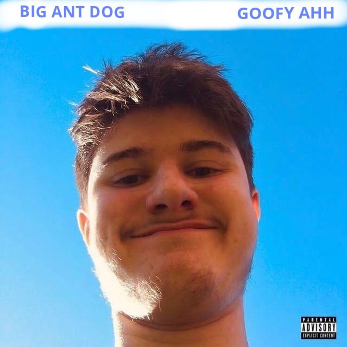 ‎Goofy Ahh Song (feat. Tortugis 2nd_form) - Single - Album by ImBibi  Cookups - Apple Music