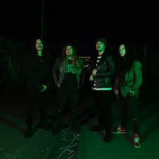 聆聽 Violent New Breed、觀看音樂影片、閱讀小傳、查看巡演日期等！