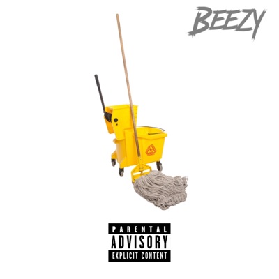 Mop Bucket - Single