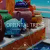 Stream & download Oriental Trip, Vol. 5 (Compiled by Dj Brahms)