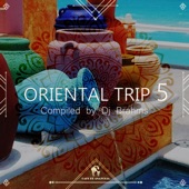 Oriental Trip, Vol. 5 (Compiled by Dj Brahms) artwork