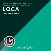 Loca (Paul Adam Remix) artwork