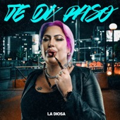 Te Di Paso artwork