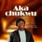 Aka Chukwu (feat. Menxee) - Larry Pee lyrics