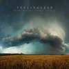 Soilwork Feelingless (feat. Björn Strid, Lawrence Dinamarca & Soilwork) Metal Against Animal Cruelty