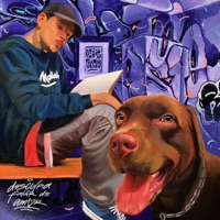 Desculpa Falar de Amor - Soltoaster