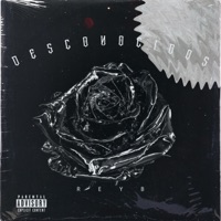 Desconocidos - Single - The Real ReyB