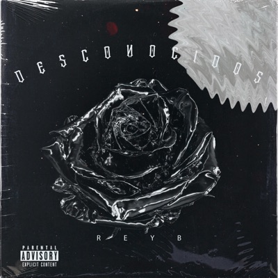 Desconocidos - Single