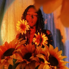 Missing Piece Susan Carol