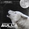 Aulla (feat. Ghetto Flow) artwork