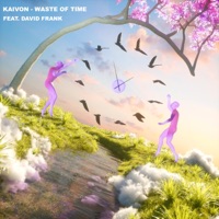 Waste of Time - Single - Kaivon & David Frank