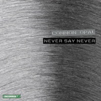 Never Say Never - Single - Common Opal
