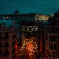 Calles Lejanas (feat. Pastilla) - Single - Paulino Monroy