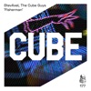 Fisherman (Club Mix) cover art