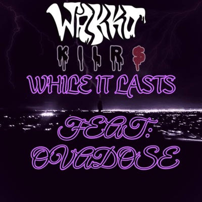 While It Lasts (feat. Ovadose) - Single