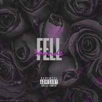Fell - Single - 3aundz