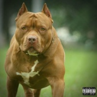 Top Dawg - Single - WavyDavy