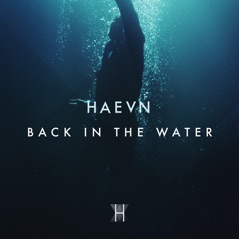 Back in the Water - Single