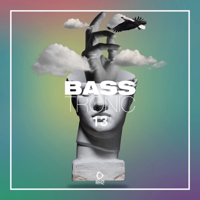 Bass Tronic, Vol. 13