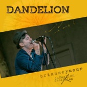 Brian Seymour - Dandelion