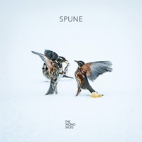The Mono Jacks - Spune