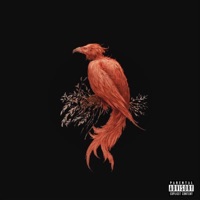 Tmt - Single - ITS HAB