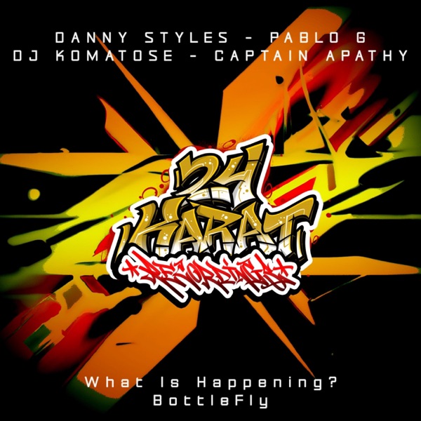 What Is Happening? BottleFly - Single