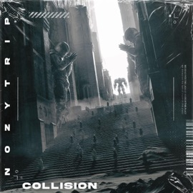 Collision NozyTrip
