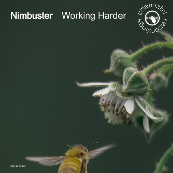 Working Harder - Single