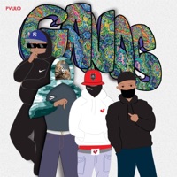 Ganas (feat. Lui5, Tryhan & MNZR) - Single - Rivo Oficial