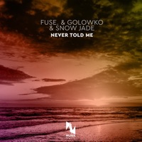 Never Told Me - Single - fuse., Golowko & Snow Jade