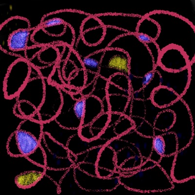 Must Be the D.R.U.G.S. (feat. D.R.U.G.S. Beats)