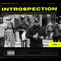Introspection - EP - Obreezy2Savage
