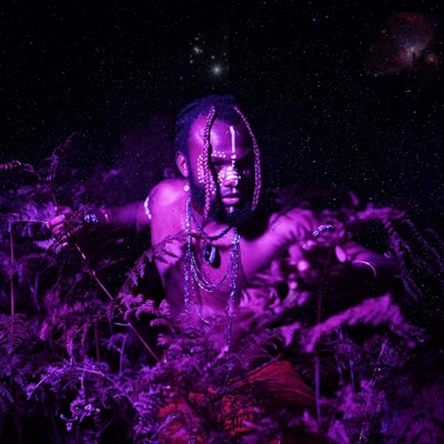 Ebony Rising EP (feat. Tanaka)