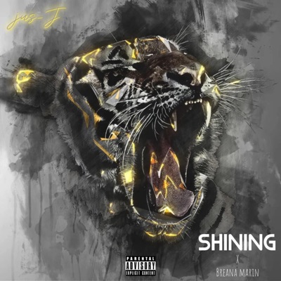 Shining - Single