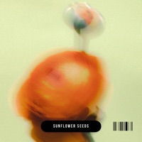 Sunflower Seeds - Single - Trell Waves